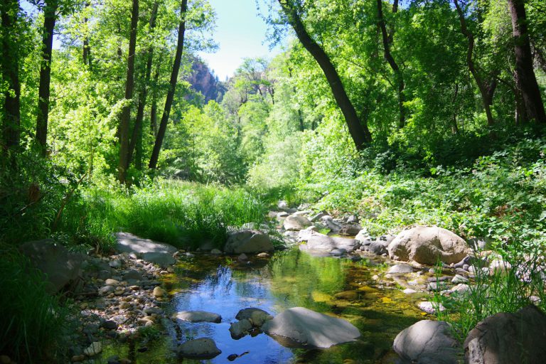 If you're looking for a peaceful holiday in Northumberland, a small rural holiday park offers an opportunity to experience the county at a slower pace.