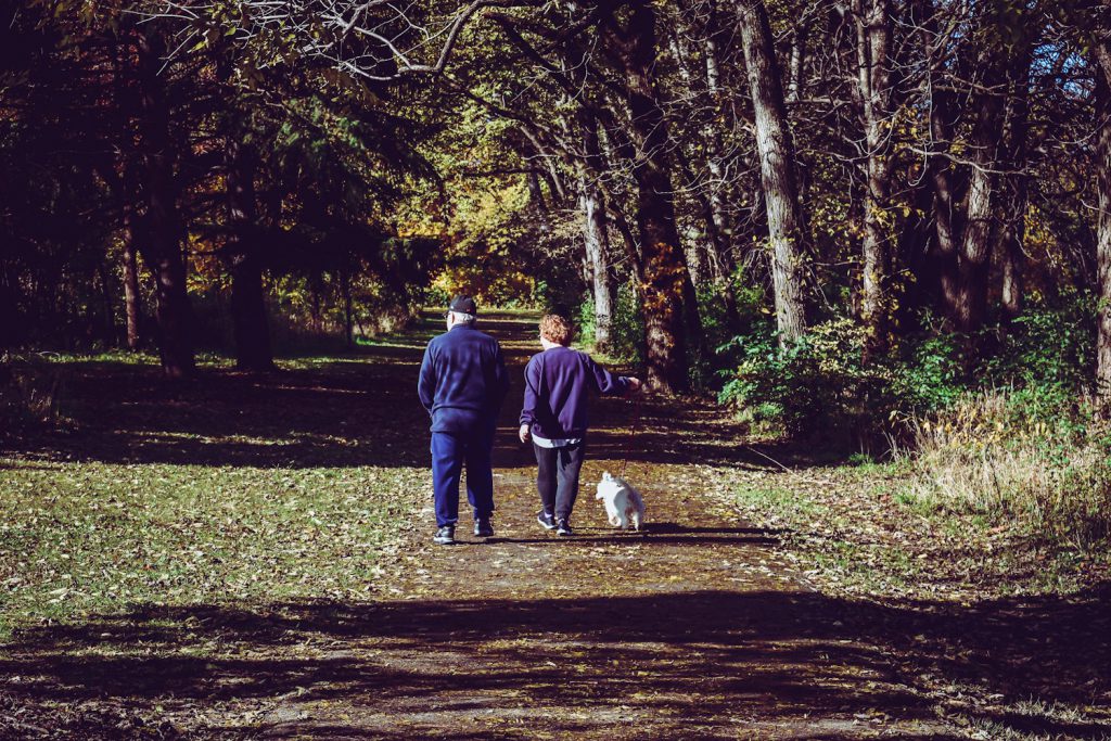 Walking through a Northumberland wood